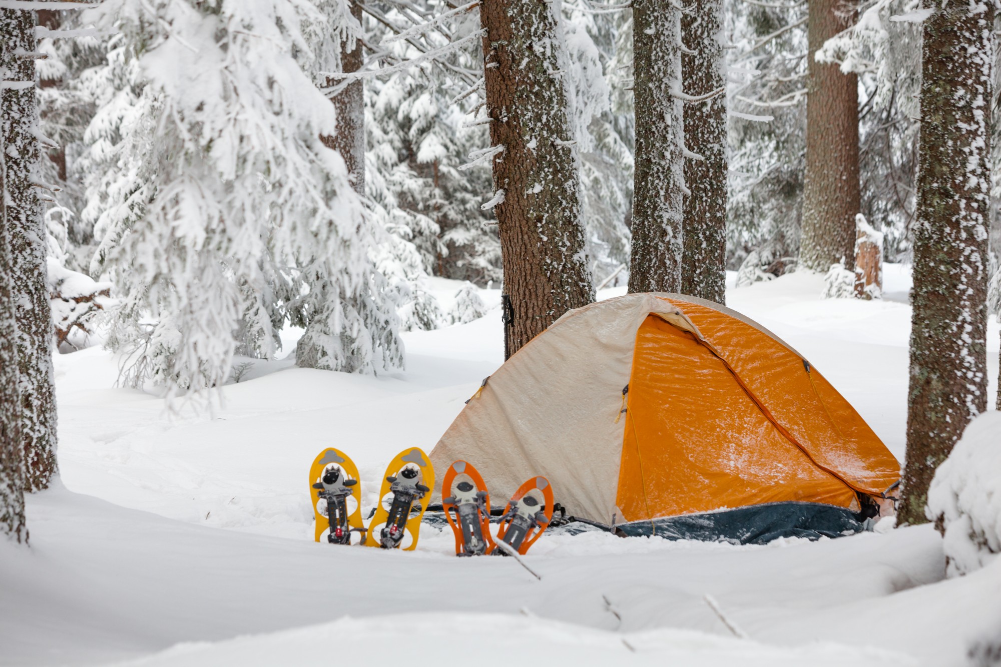 https://www.snowshoemag.com/wp-content/blogs.dir/5/files/winter-camping-tent-snow-shutterstock_156799514.jpg