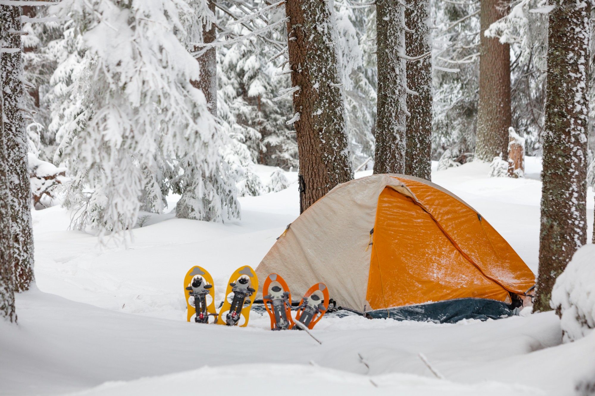 Winter Camping Checklist: What To Bring • Snowshoe Mag