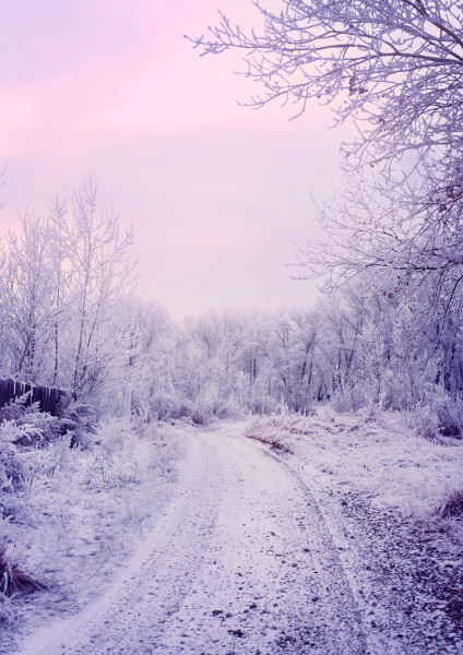 winter_landscape