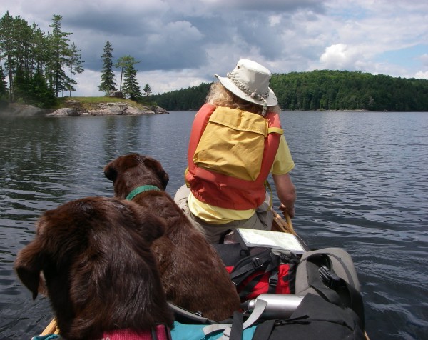 dogs and woman paddling on the water