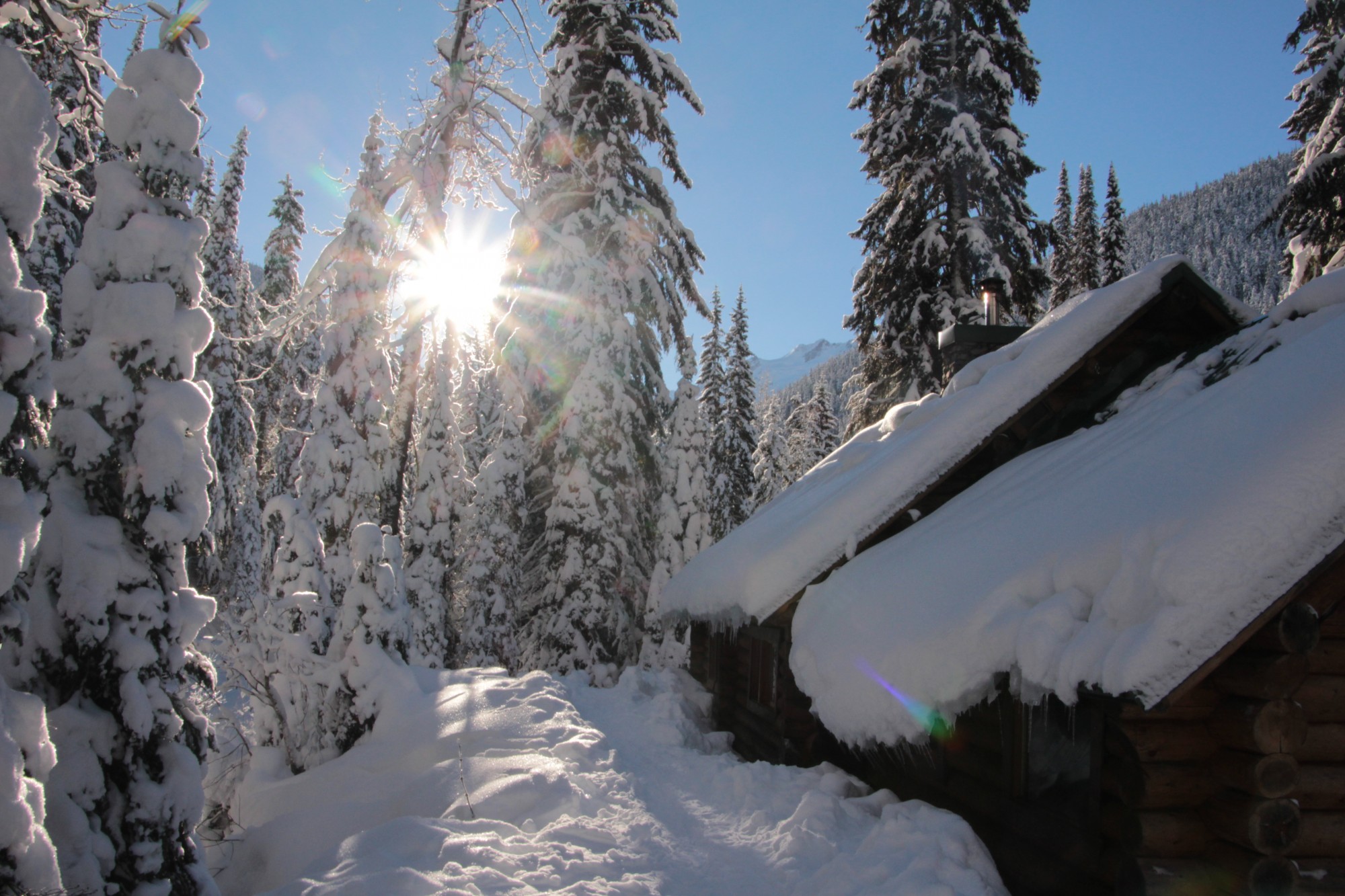 Snowshoeing Rogers Pass in Glacier National Park, Canada Snowshoe