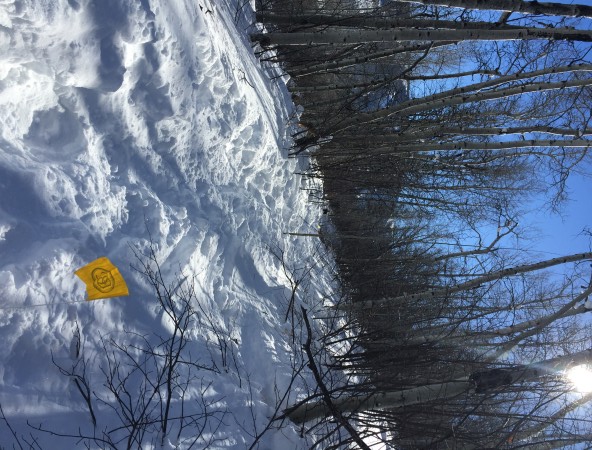 Beaver Creek Snowshoe Series 2016