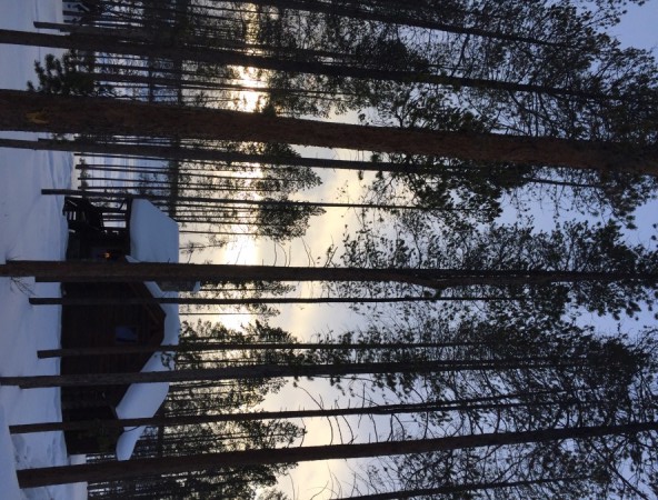 Sunset view from the Red Quill cabin in the woods. Photo by Kim Fuller.