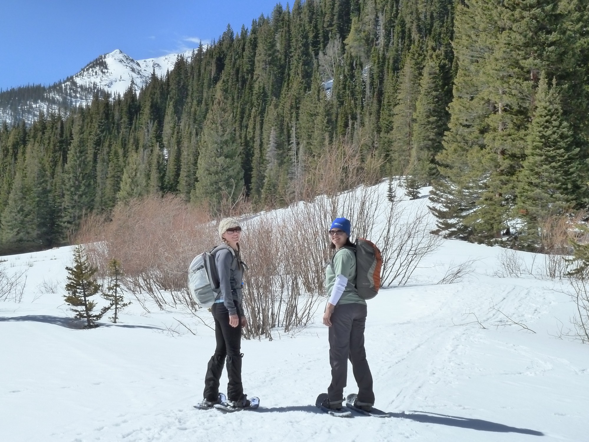 Book Review Snowshoe Routes Colorado S Front Range
