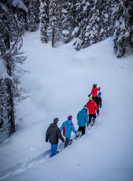snowshoers out on the trail at Revelstoke Mountain Resort, British Columbia