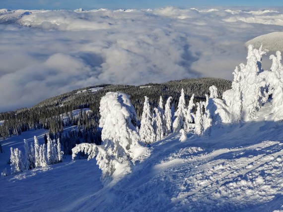 Revelstoke Mountain Resort scenery, British Columbia