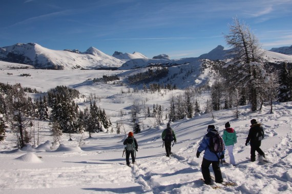 Snowshoers at Sunshine Meadows, Banff