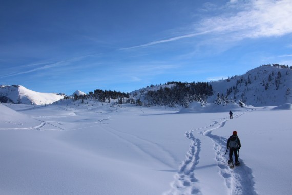 Snowshoeing Sunshine Meadows, Banff, Alberta