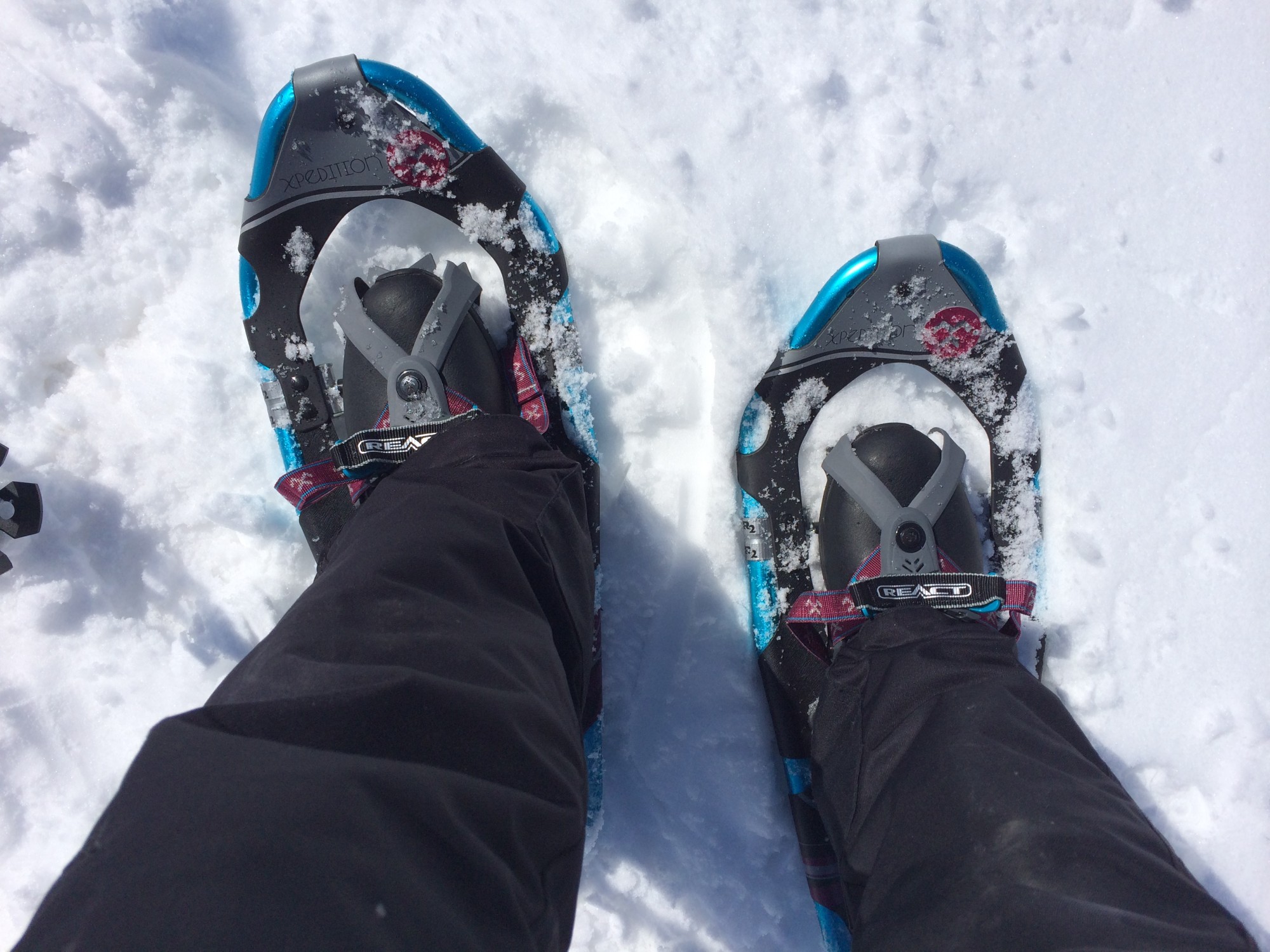 snowshoes that fit snowboard boots